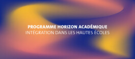 FSEI-projets-HorizonAcademique fsei