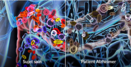 FEI-projet-apra-2 fsei