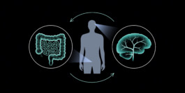 FEI-projet-apra-5 fsei