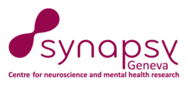 FSEI-projet-logo-Synapsy fsei